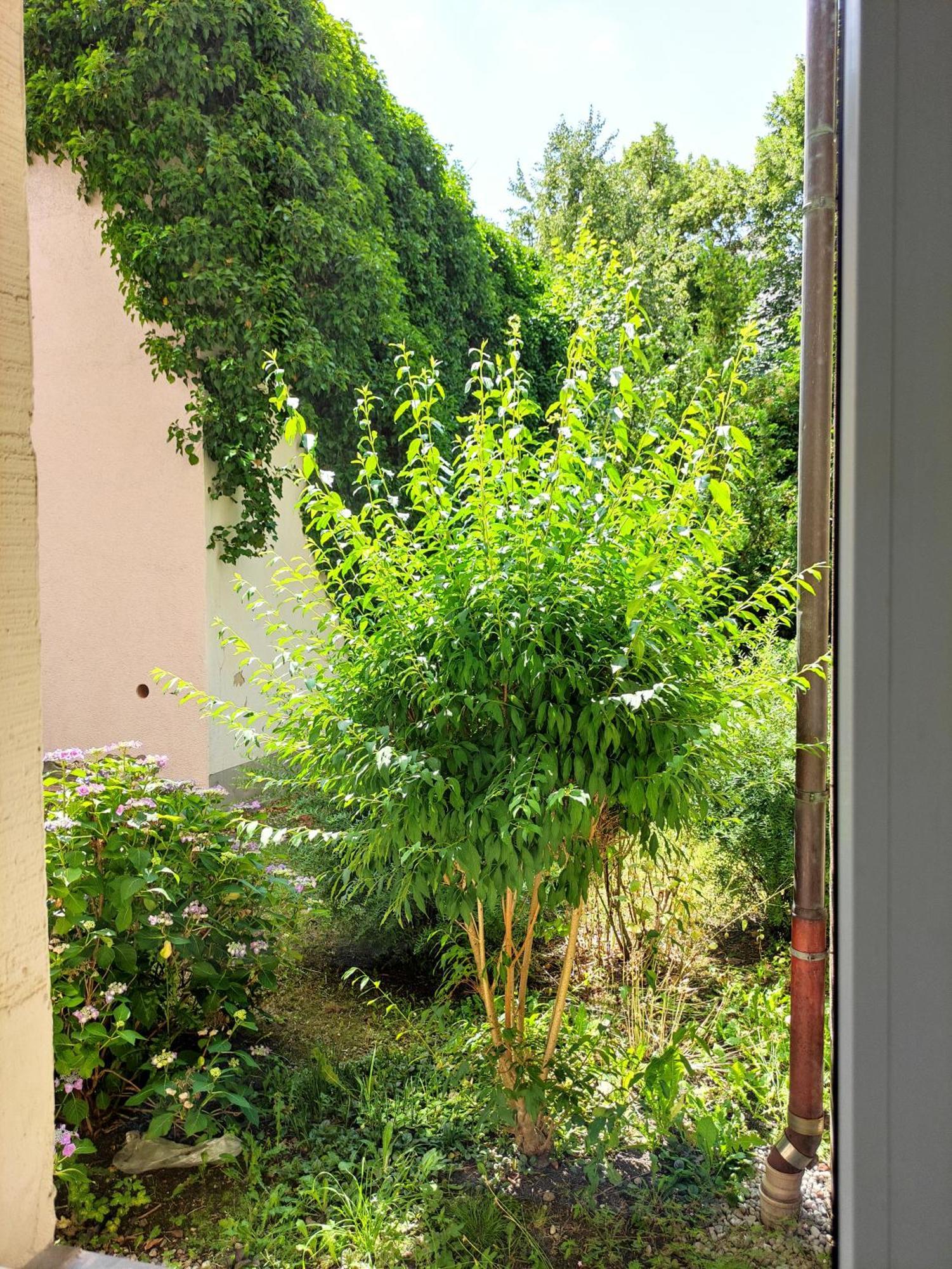 Exklusive Wohnung Mit Kingsize-Bett I 75Qm I Am See I Netflix I Gratis Kaffee & Teeangebot Chemnitz Zewnętrze zdjęcie